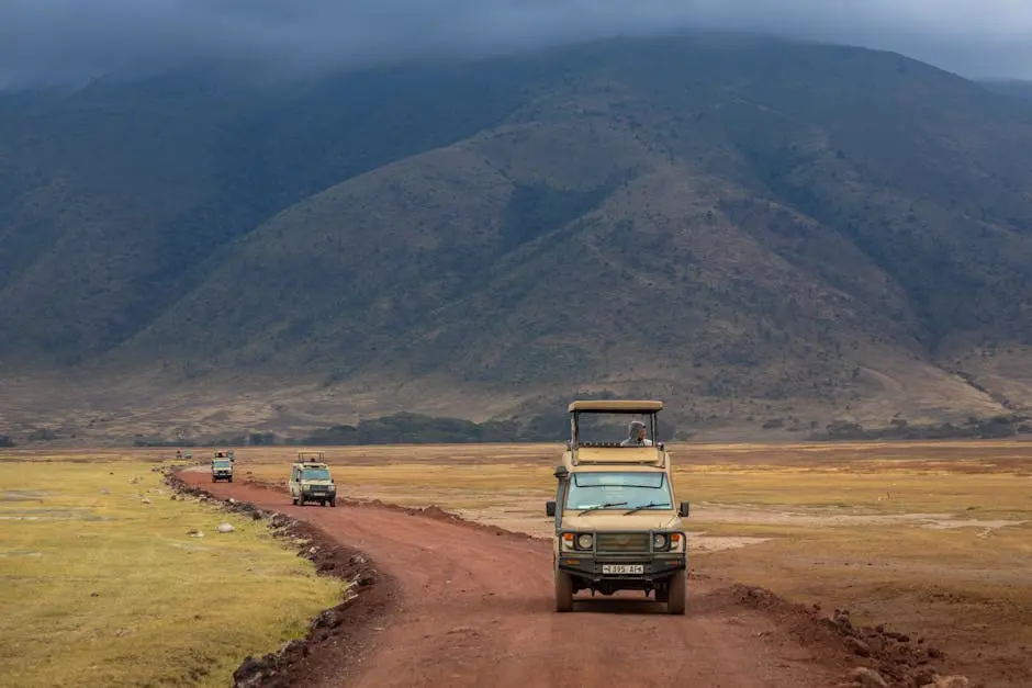What Wildlife Can Be Seen on a Luxury Tanzania Safari?