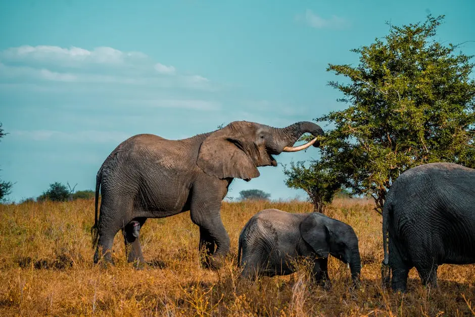 What Wildlife Can Be Seen on a Private Tanzania Safari?