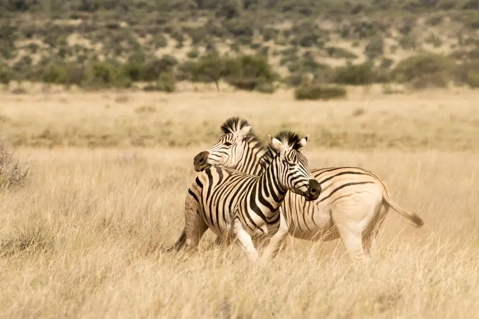 Masai Mara: Your Guide to an Unforgettable Safari Experience