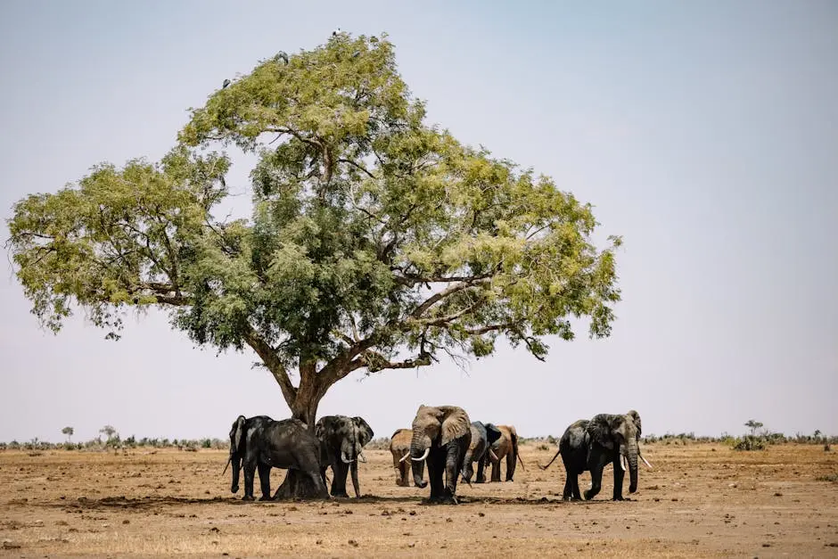 Discover the Thrill of a Kenya Luxury Safari Adventure