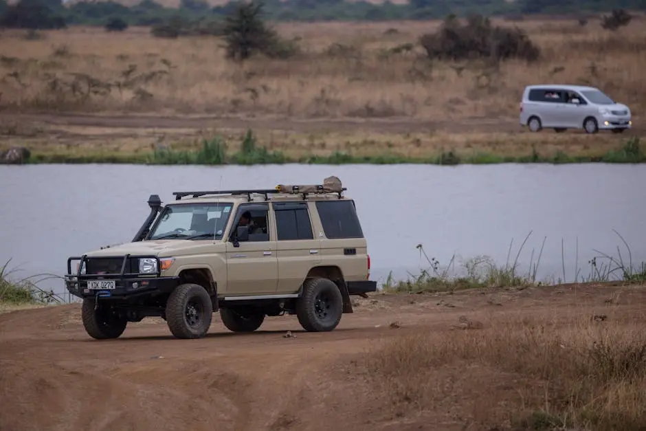 What Wildlife Can I See on a Kenya and Tanzania Safari?