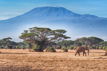 Amboseli affordable safari and camping safari