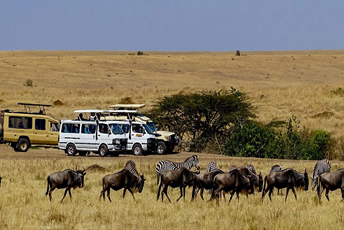 4days-masai-mara-kenya-safari
