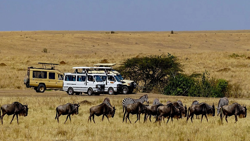 4days-masai-mara-kenya-safari1
