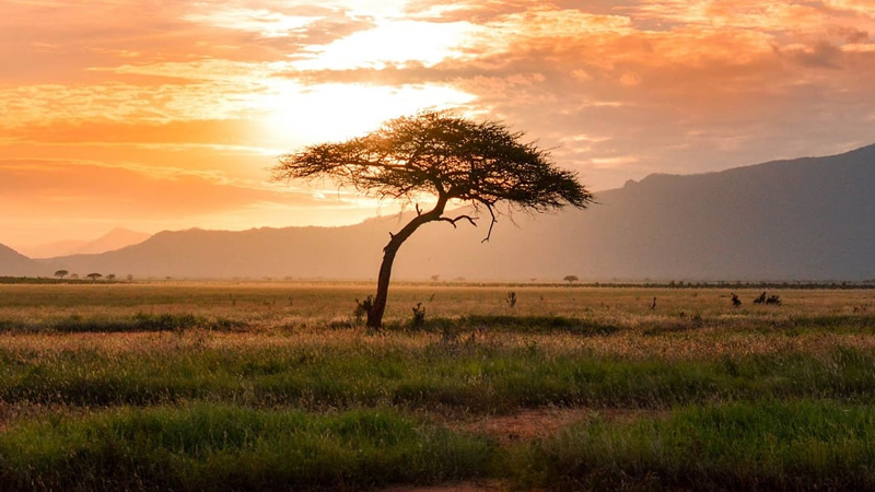 4days-masai-mara-kenya-safari3