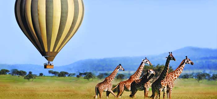 Flying safari in Kenya