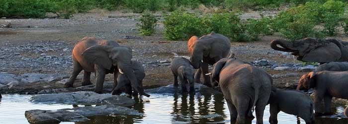 luxury kenya safari tours