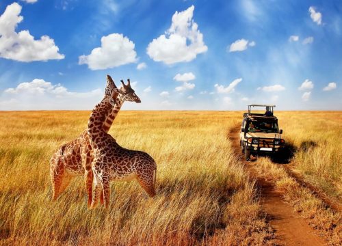 Top 10 Unique places in East Africa To Visit For Beautiful Scenes