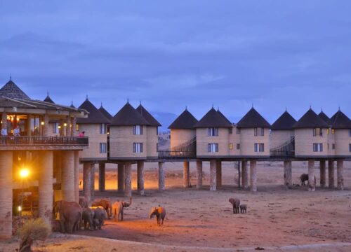 Madaraka Express Train to Salt Lick Safari Lodge