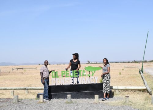 Day Ol Pejeta Excursion from Nairobi