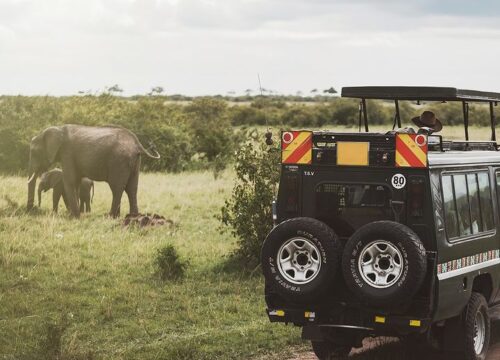 10 Days Primates and Wildlife of Uganda