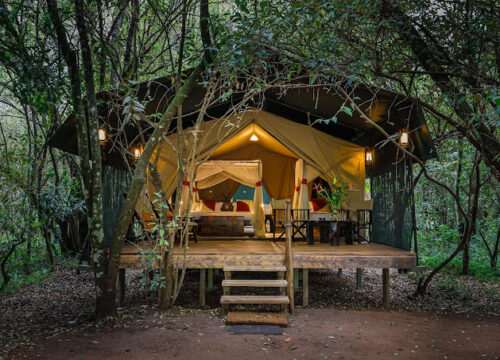 Flying Package to Soroi Mara Bush Camp 2024