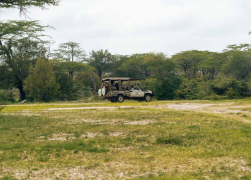 Safari in Kenya: Parks, Costs, and How to Plan