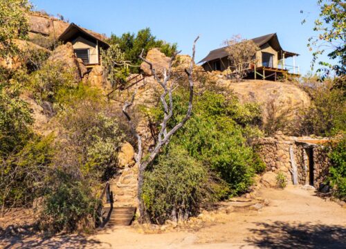 Luxury Safari Lodges in Kenya: 7 Handpicked Stays for 2026