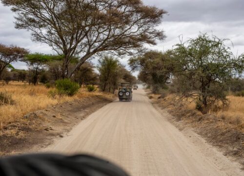 Safari Packages in Kenya: Costs, Routes and How to Choose